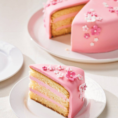 bucket-of-5-kg-of-mix-genoise-funcakes
