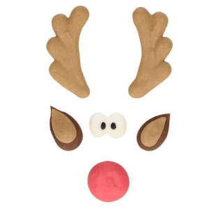 decor-en-sucre-rudolph-christmas