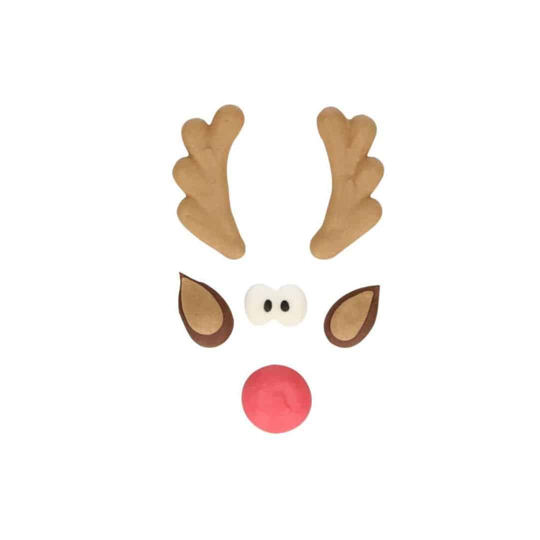 decor-en-sucre-rudolph-christmas