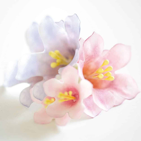petunia-flower-in-sugar-paste