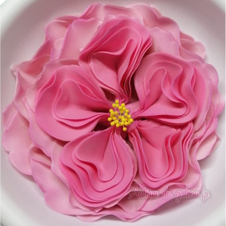 English-rose-in-sugar-paste