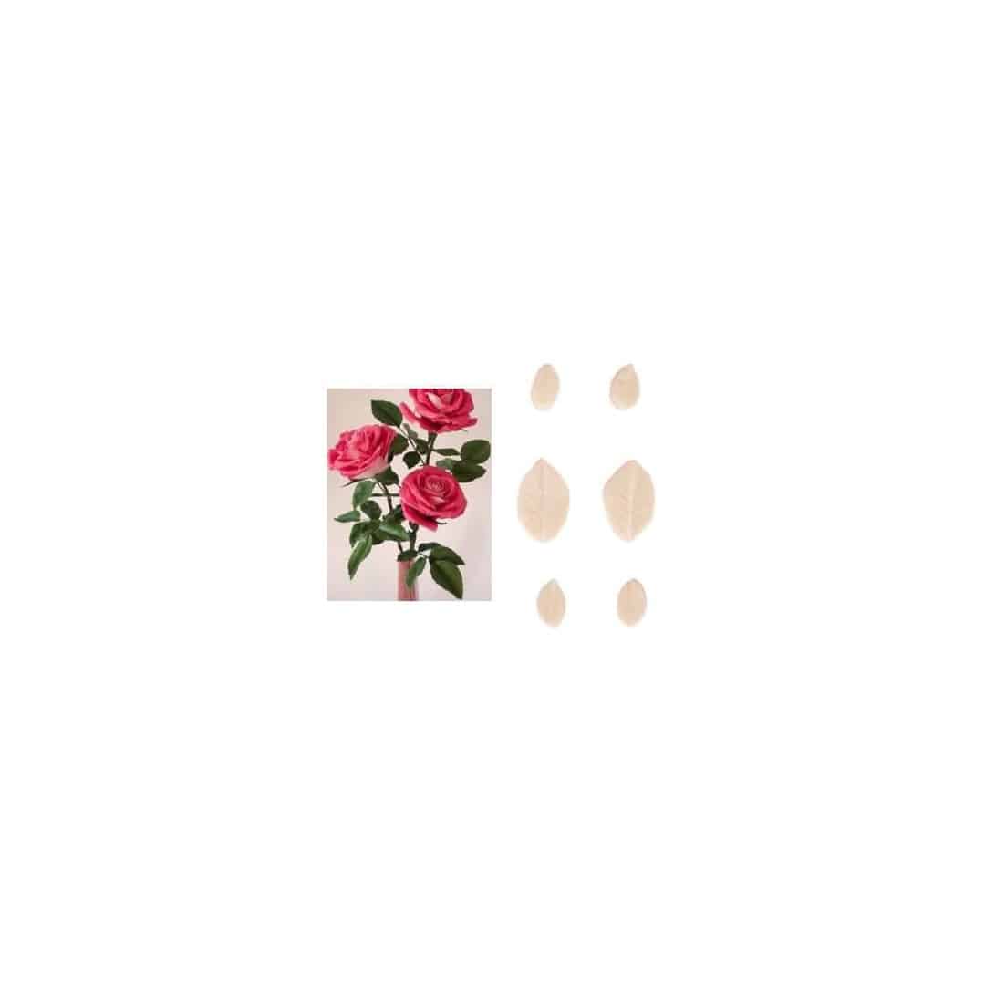 set-6-veiners-rose-leaves
