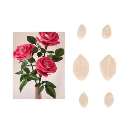 set-6-veiners-rose-leaves