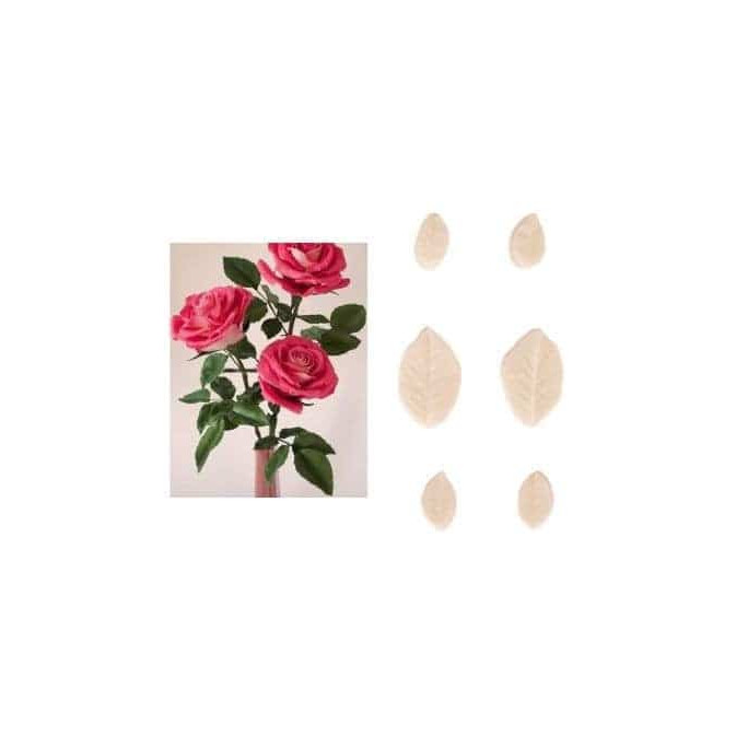 set-6-veiners-rose-leaves