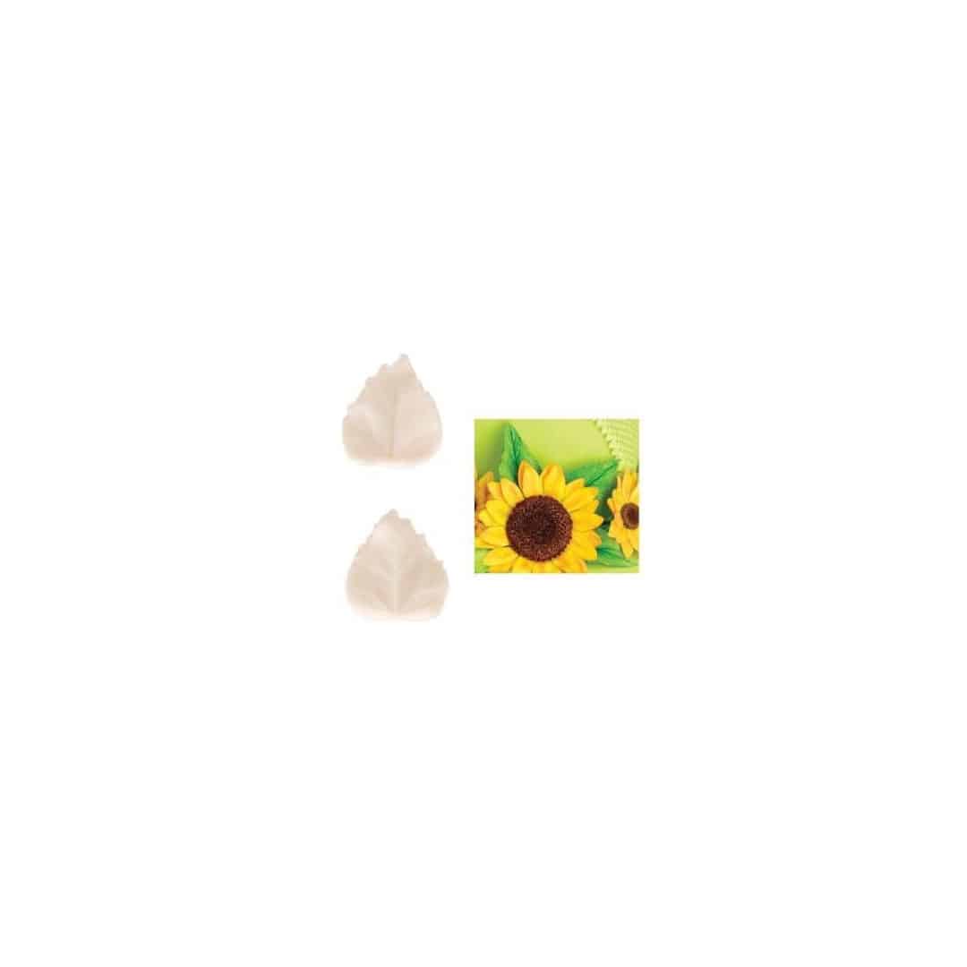 set-2-veiners-sunflower-leaves
