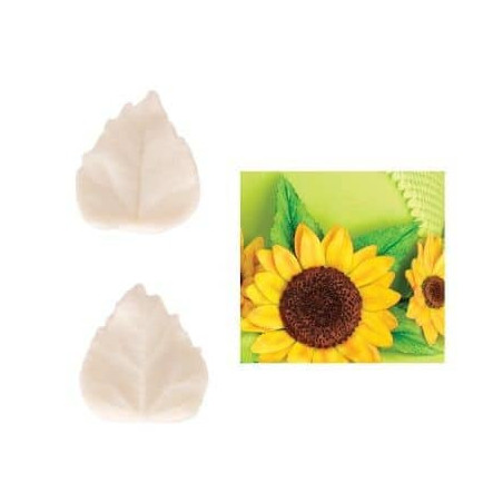 set-2-veiners-sunflower-leaves