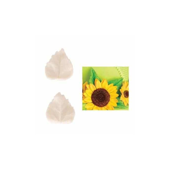 set-2-veiners-sunflower-leaves