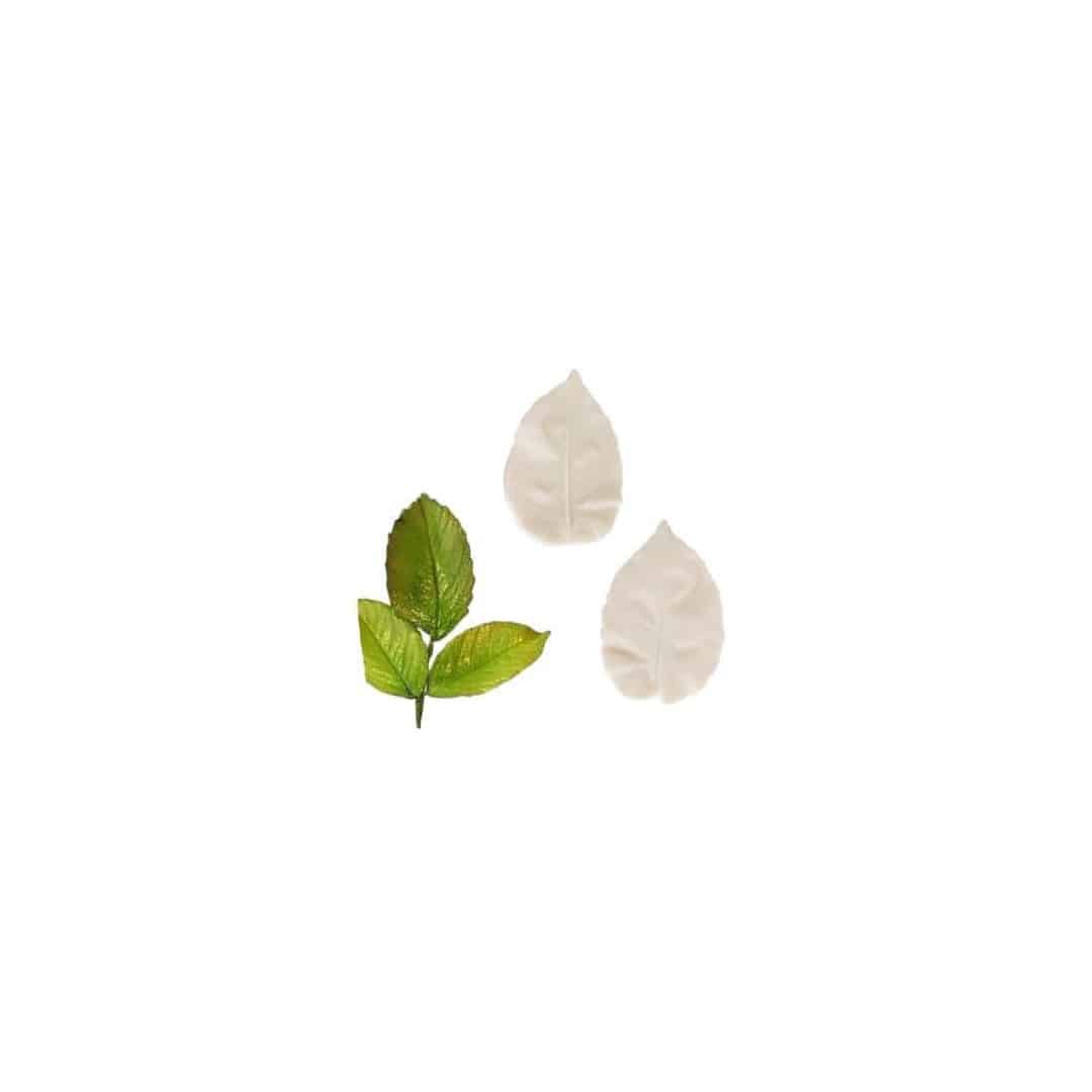 set-of-2-veiners-large-rose-leaves