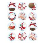 12-round-sugar-christmas-decorations-5-cm