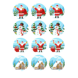 edible-discs-christmas-cupcakes-and-biscuit.jpg