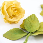 4-rose-leaf-cutters