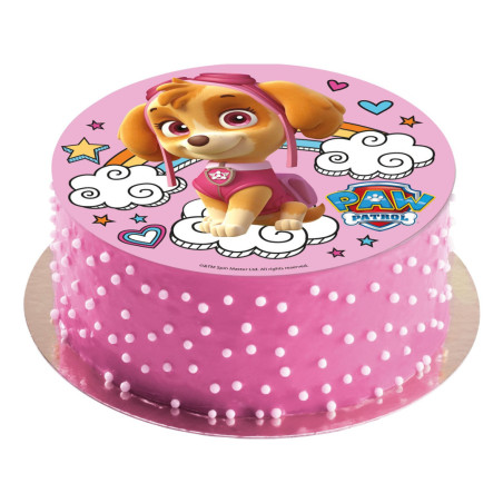 idea-cake-stella-paw-patrol