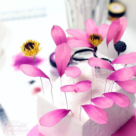 cutters-multi-flowers-leaves-FMM