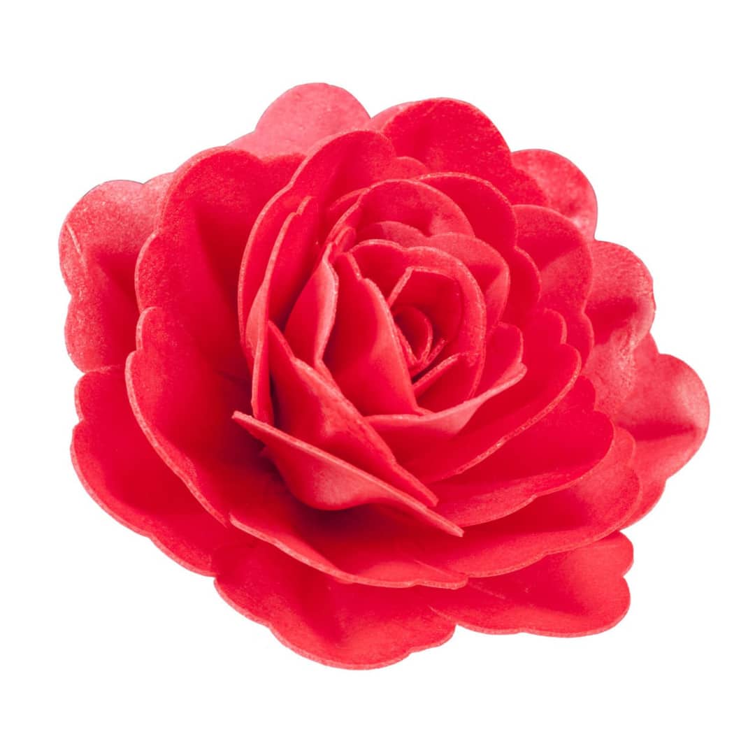 large-flower-wafer-for-cake
