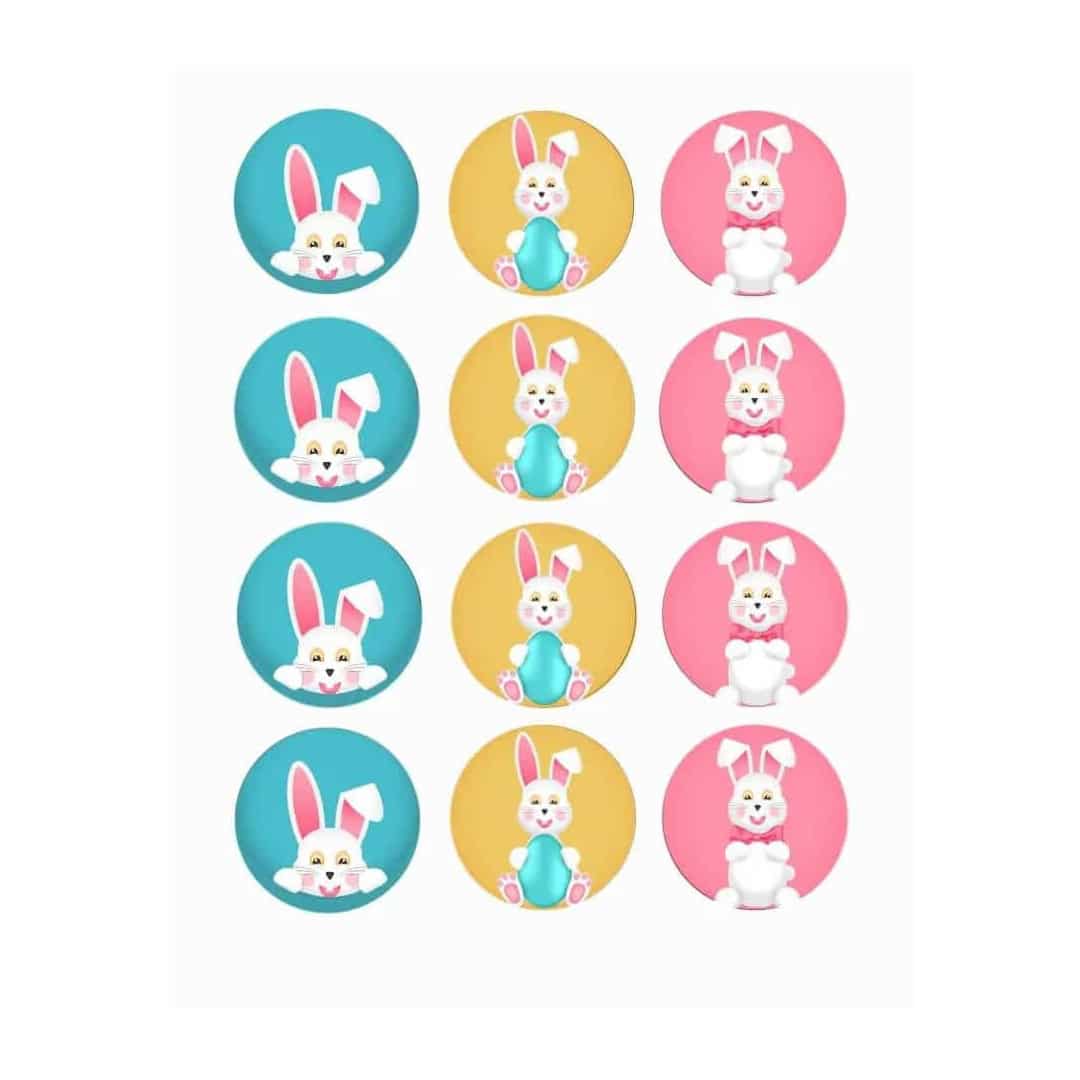 12-mini-sugar-discs-easter-bunnies