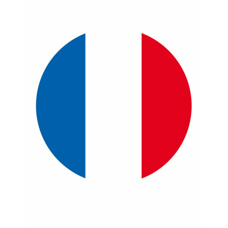 sugar-disk-french-flag-world-cup-football