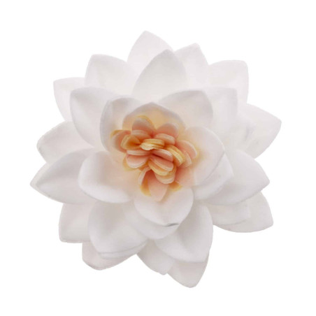 15-white-lotus-flowers-in-matzo