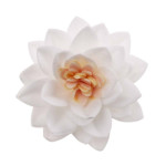 15-white-lotus-flowers-in-matzo