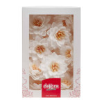 white-lotus-flowers-in-matzo