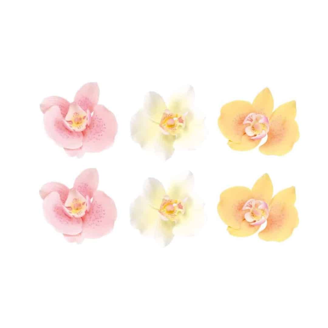 6-flowers-orchids-pastel-cake-design