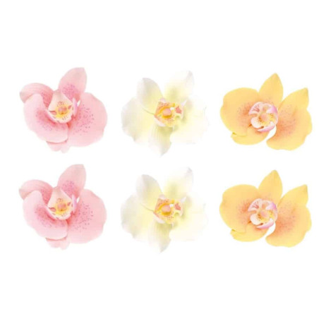 6-flowers-orchids-pastel-cake-design