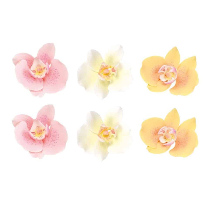 6-flowers-orchids-pastel-cake-design
