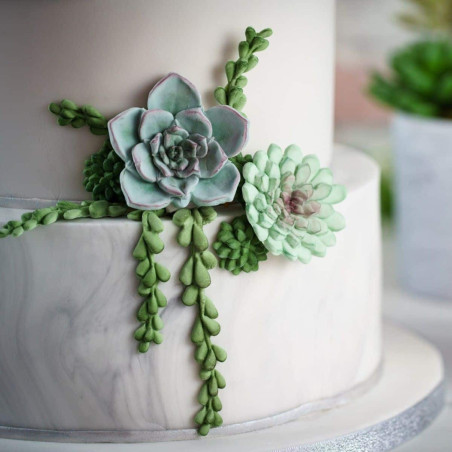 climbing-flowers-silicone-modeling-mold