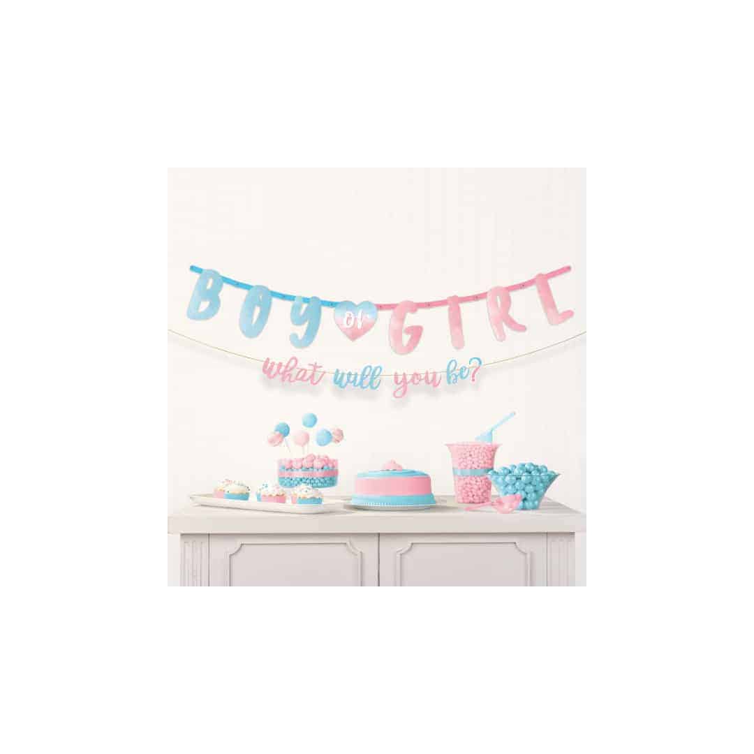 banner-boy-or-girl-pink-blue