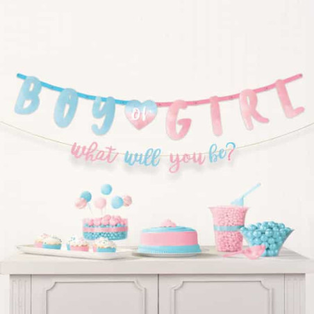 banner-boy-or-girl-pink-blue
