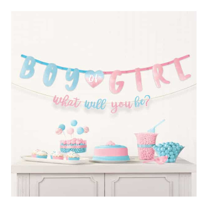banner-boy-or-girl-pink-blue