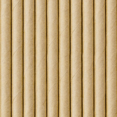 10-kraft-straws-19-cm