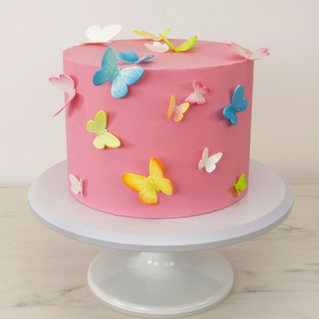 butterfly cake