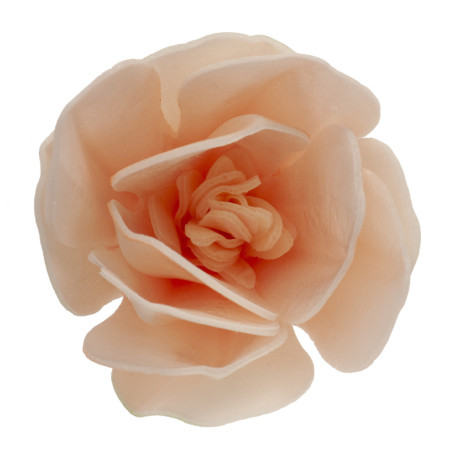magnolia-flower-in-matzo-cake-deco