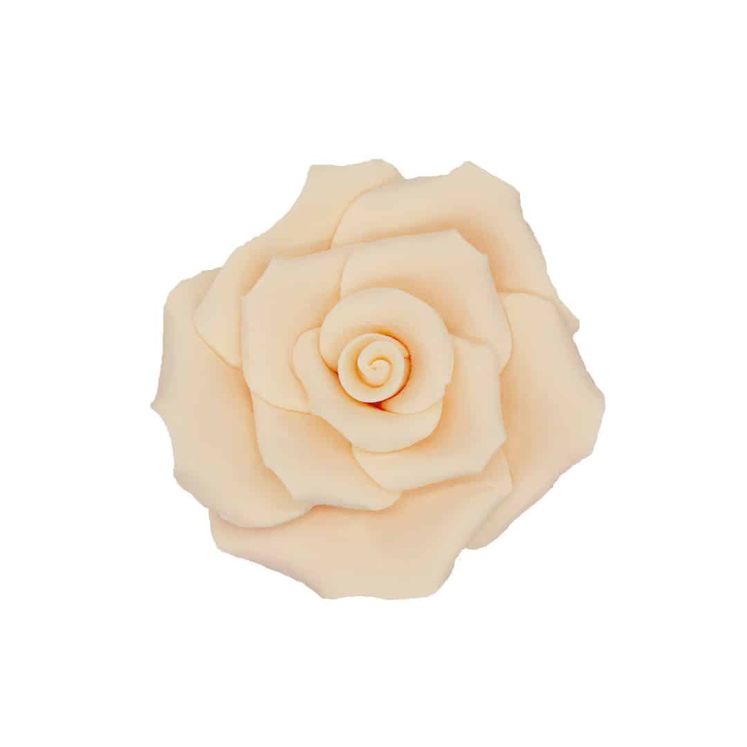 6-sugar-roses-white-peach-7-cm