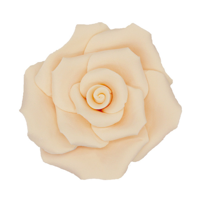 6-sugar-roses-white-peach-7-cm