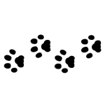 stencil-dog-paw-cake-design