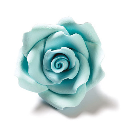 pink-in-sugar-light-blue