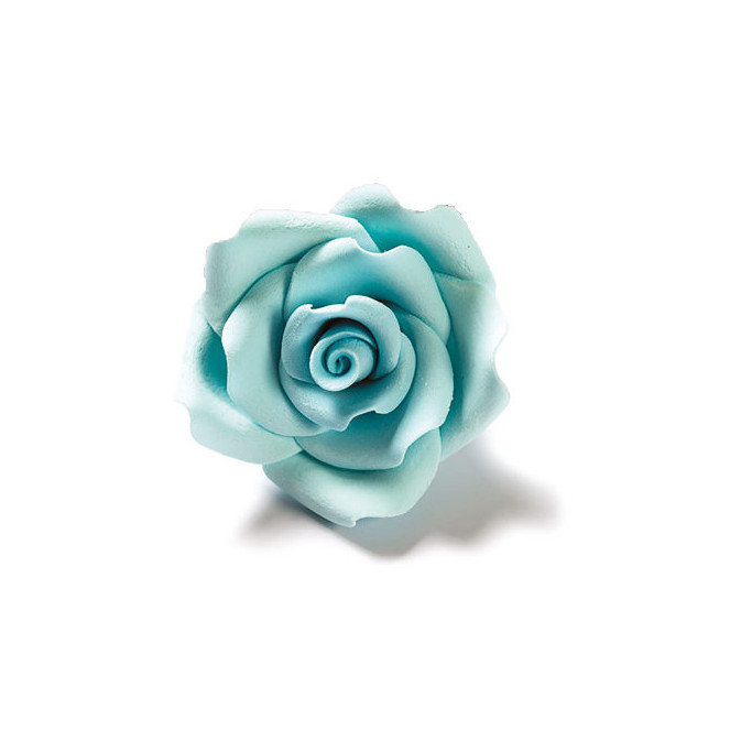 pink-in-sugar-light-blue