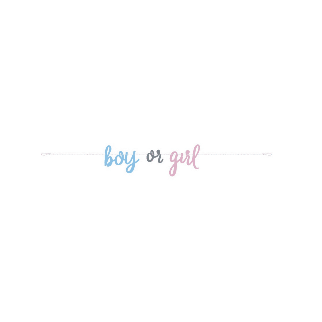 banner-boy-or-girl-2m