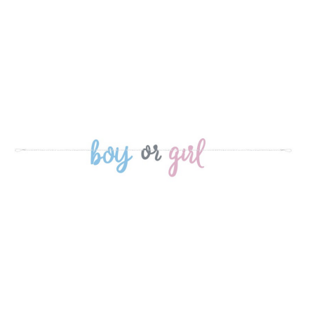 banner-boy-or-girl-2m