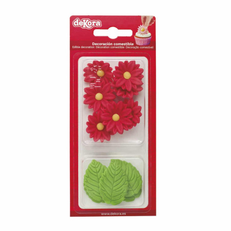 red-daisies-with-sugar-leaves