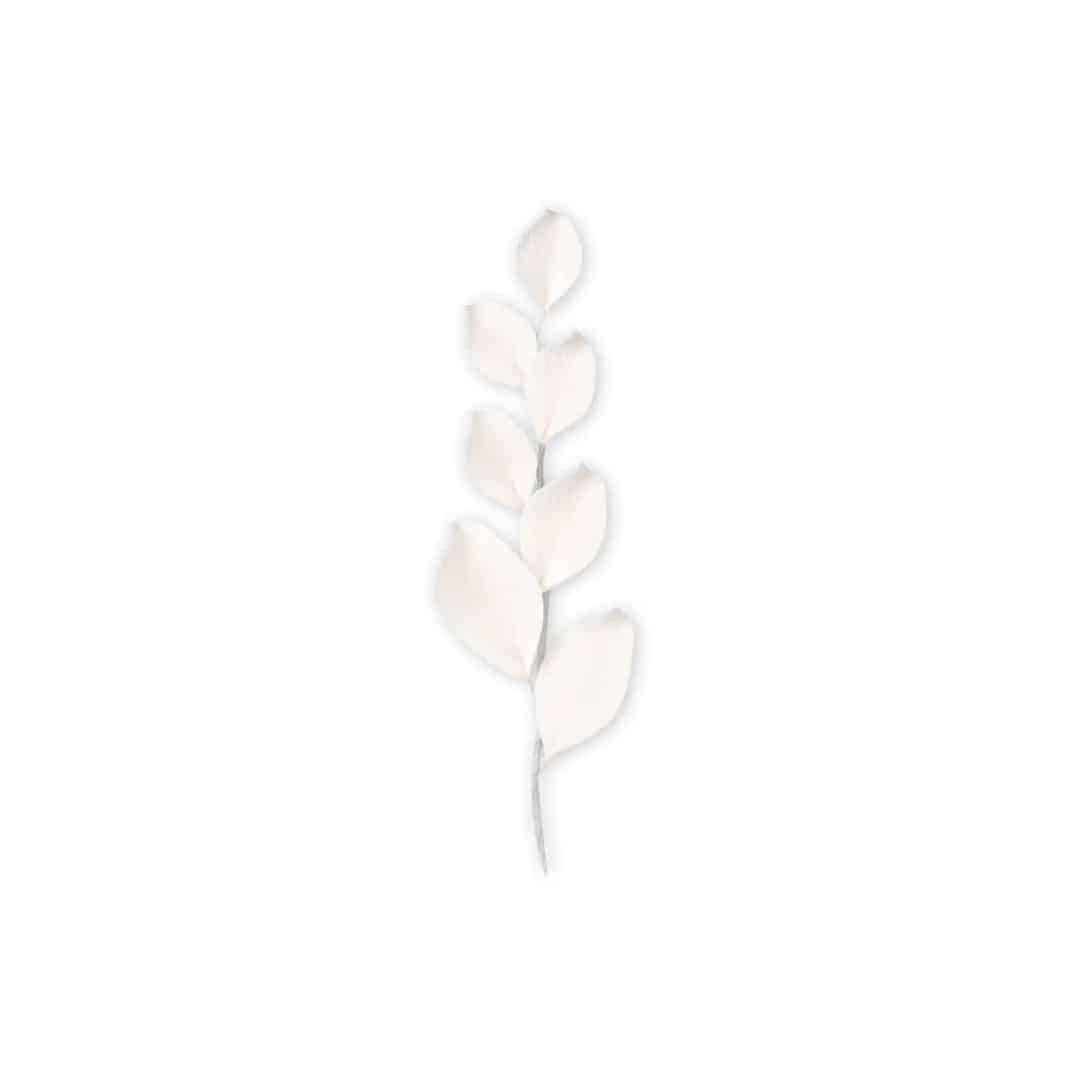 branch-of-eucalyptus-in-pastillage-