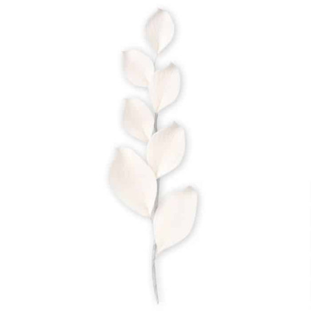 branch-of-eucalyptus-in-pastillage-
