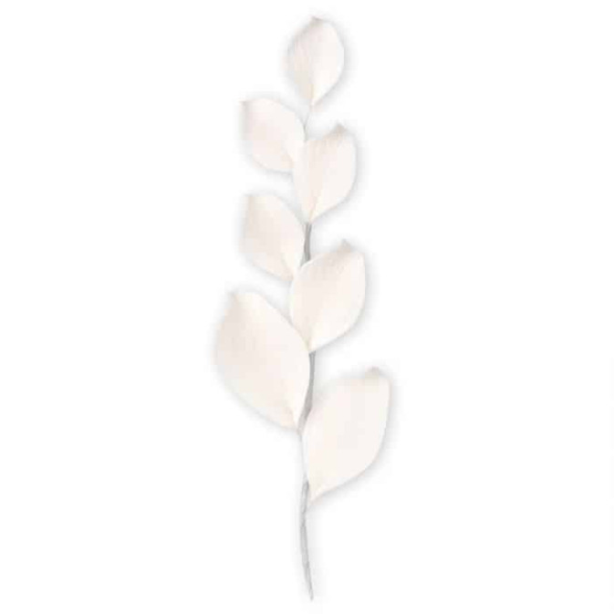 branch-of-eucalyptus-in-pastillage-
