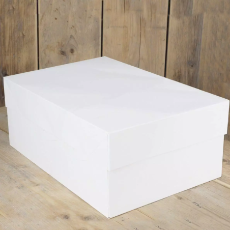 pack of 25 rectangular cake boxes