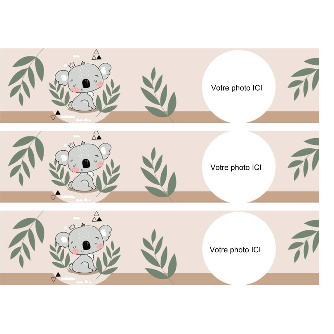 edible-koala-cake-outline-to-customize