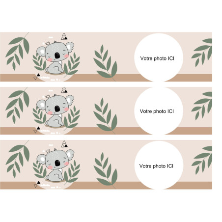 edible-koala-cake-outline-to-customize