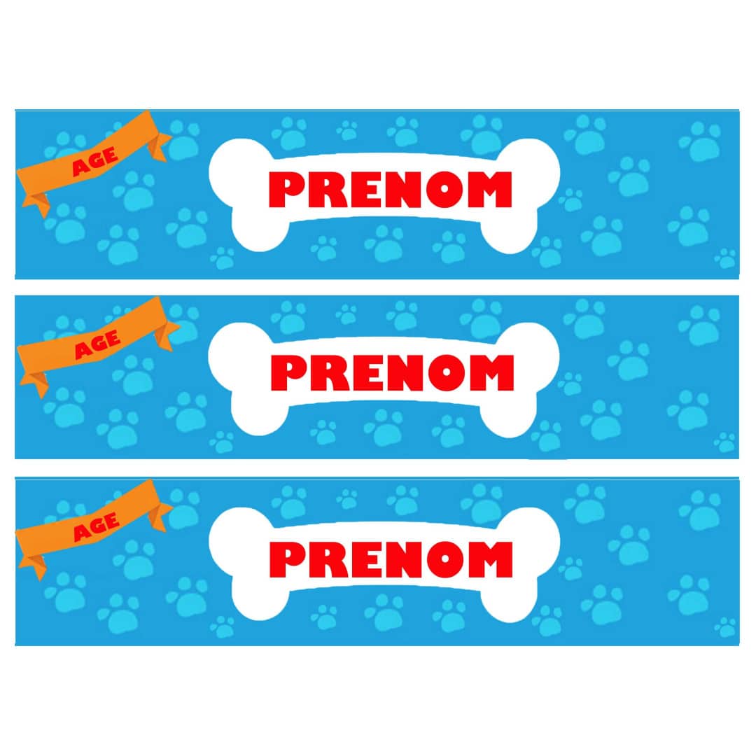 cake-outline-dogs-paw-patrol