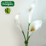 veineur-lilies-and-tulips