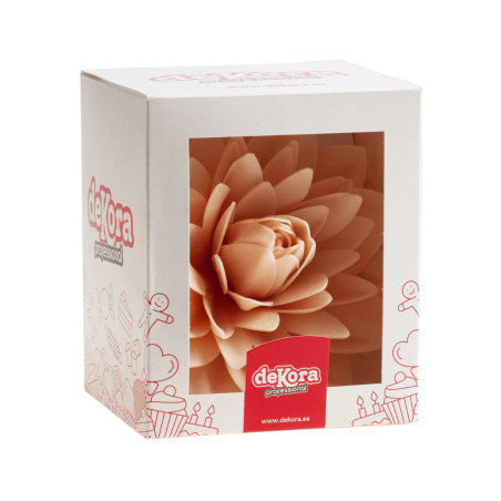 giant pastel dahlia in its box